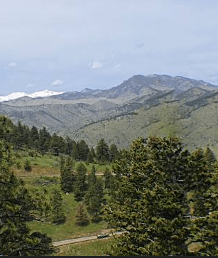 Image of mountains and trees in Lakewood Colorado