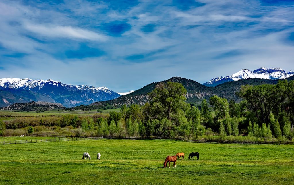 Colorado