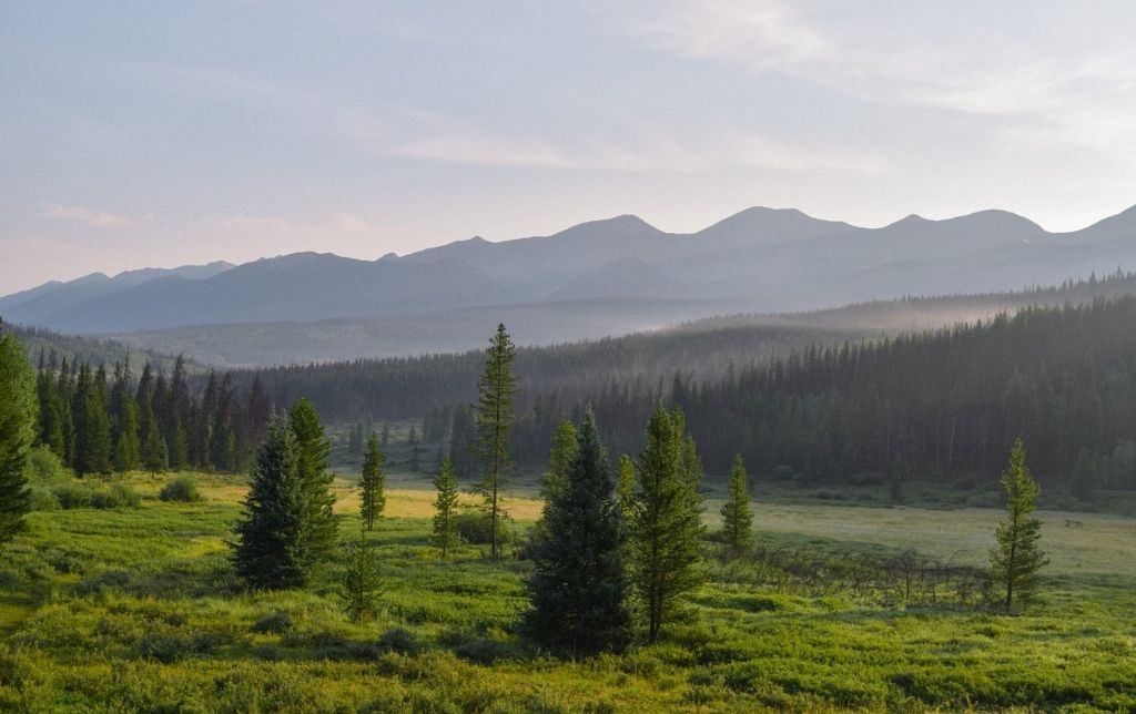 Photographer in Englewood Colorado | Gary Sheer Photography