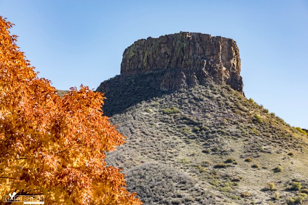 Golden Colorado Photographer